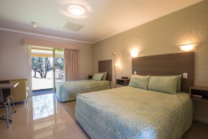 Euston Club Motel Deluxe Room 11 